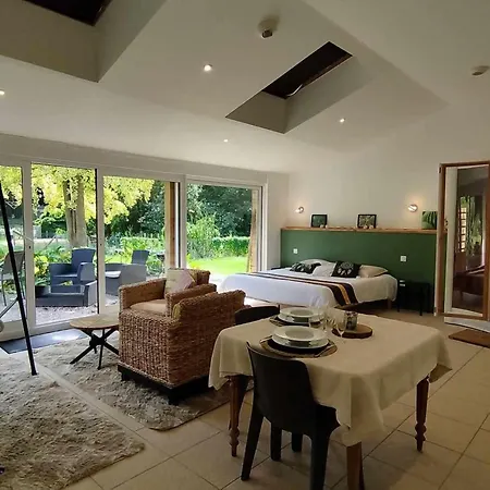 Modern Loft Bathed In Nature Apartment